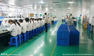 一呼百應，賦能裝飾材料新未來——探索公司頻道的行業價值