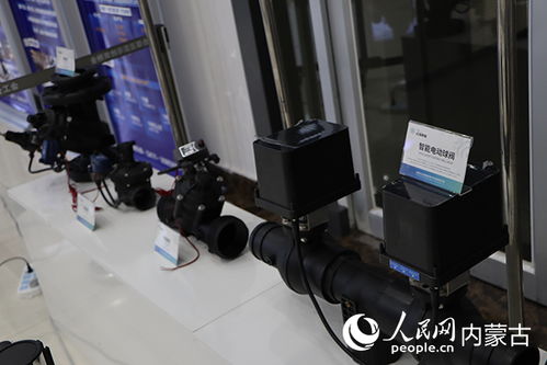 金橋雙創創新集聚區產業生態共創暨科技成果對接會成功舉辦，聚焦技術咨詢賦能產業發展